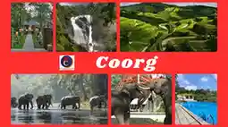 Bangalore-to-coorg-taxi-rental