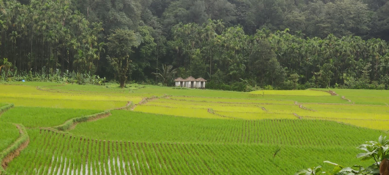 Namma Trip