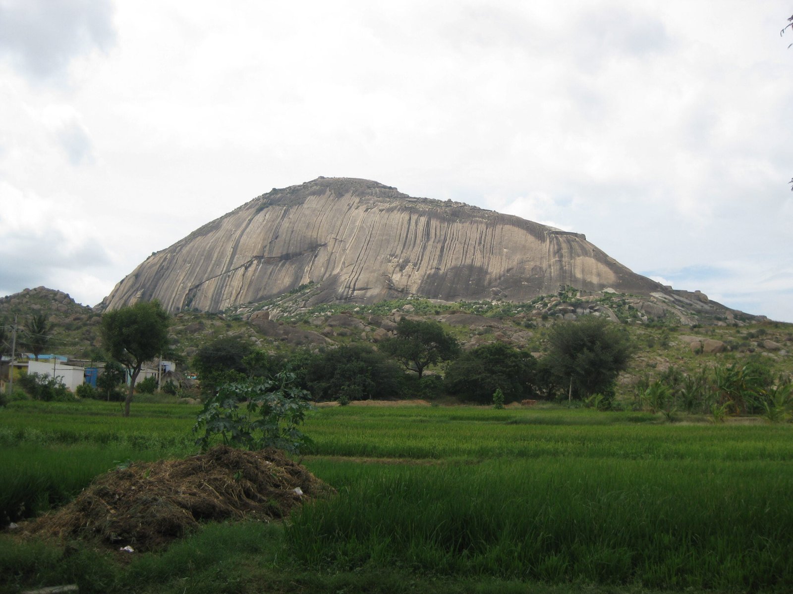 Namma Trip