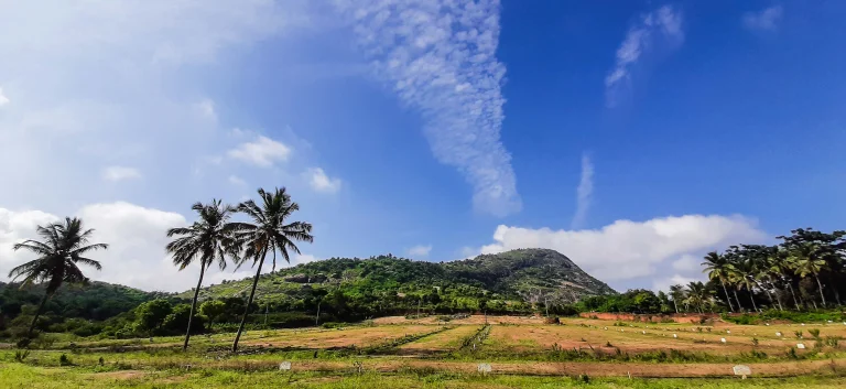 handi gundi trek