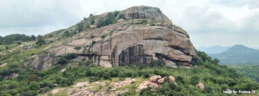 Namma Trip