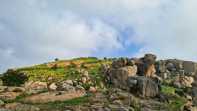 Namma Trip