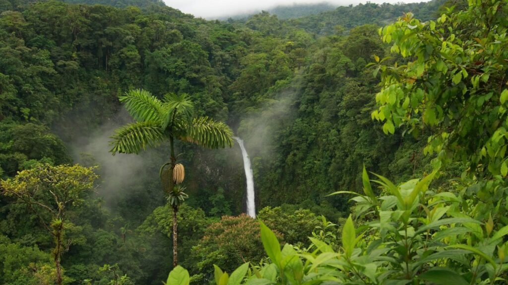 Wayanad Backpacking Tour