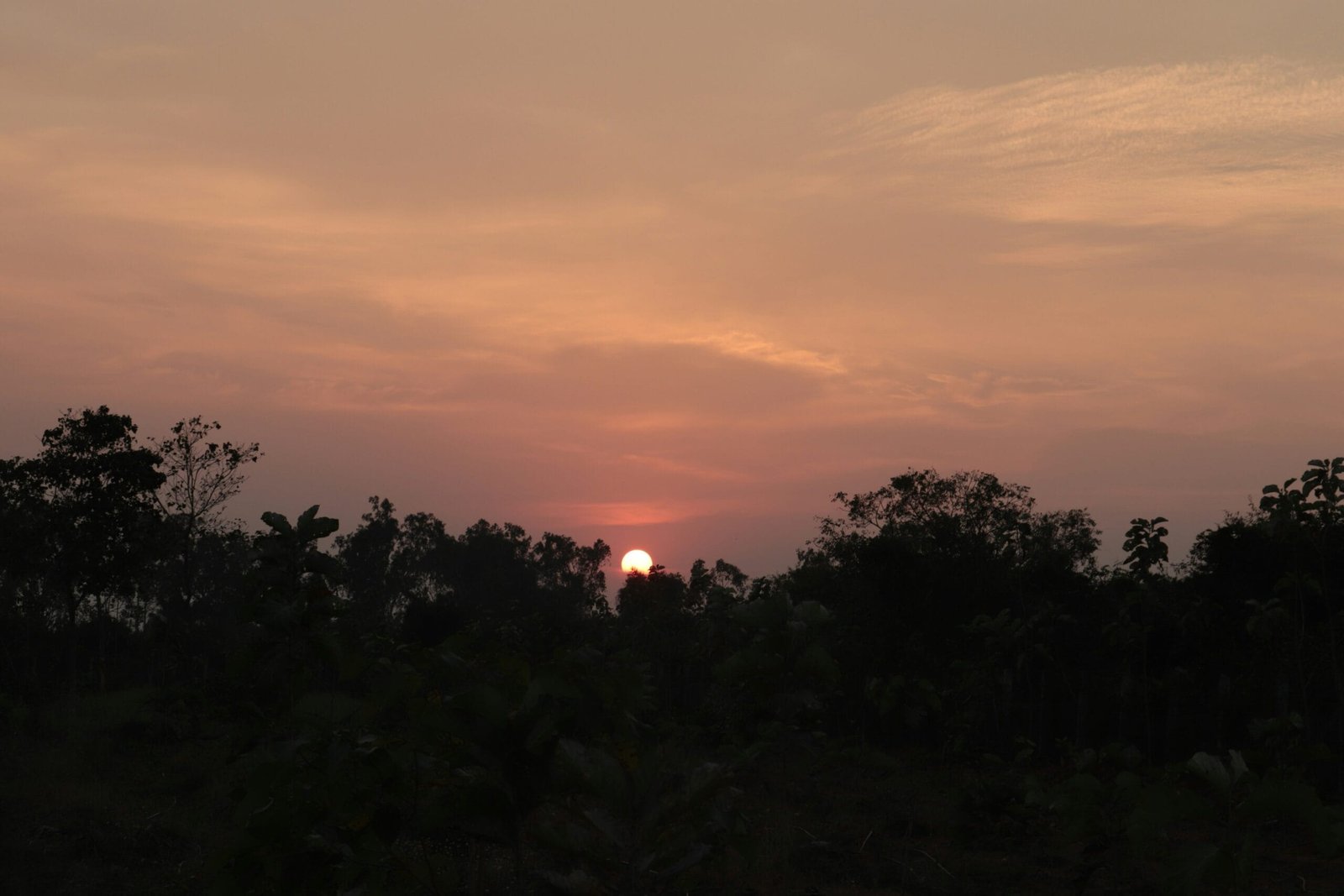 Namma Trip