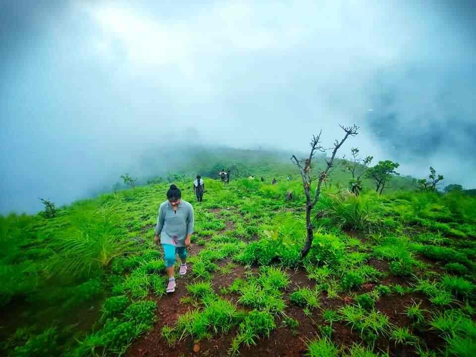 Kurinjal Peak Trek