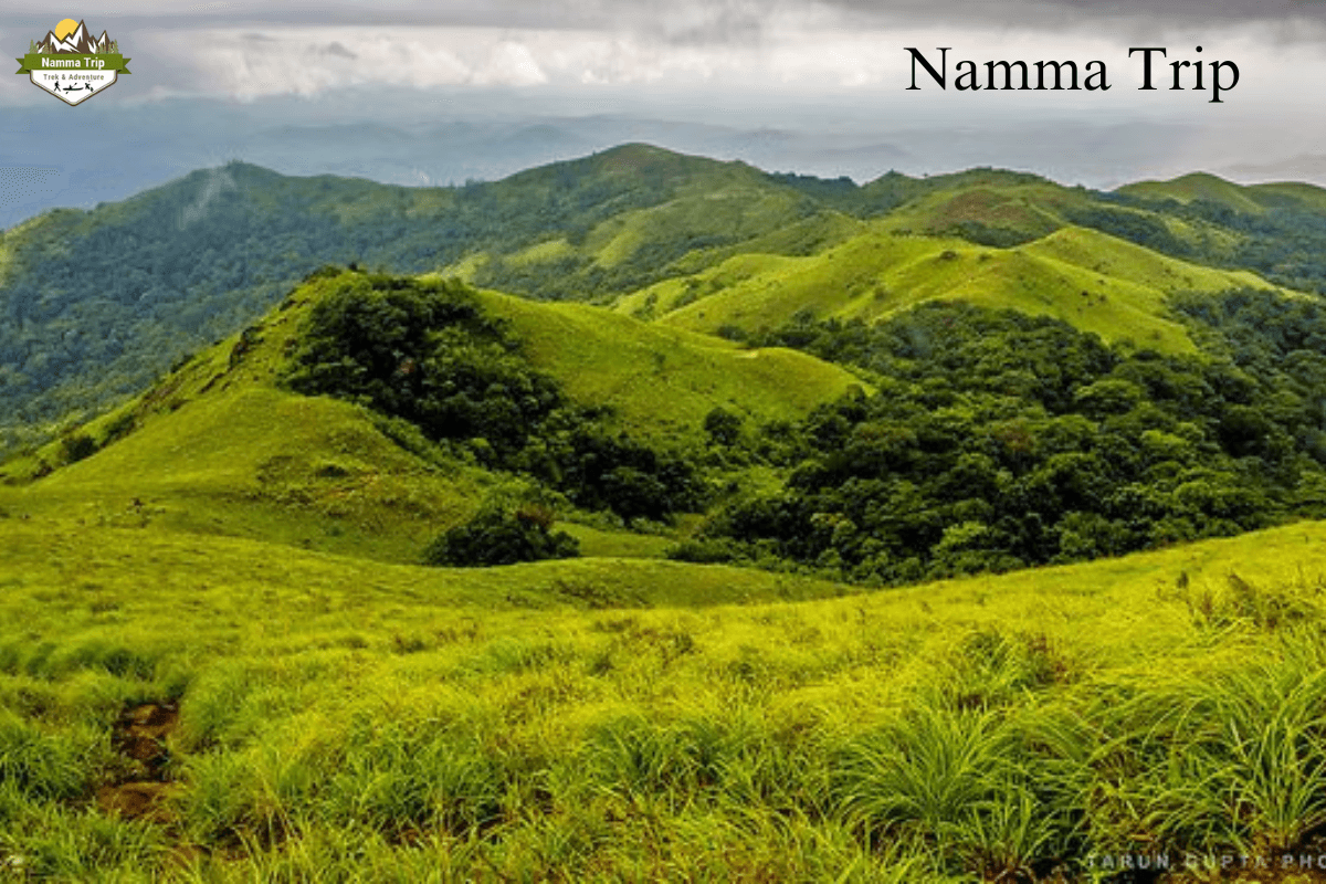 Namma Trip