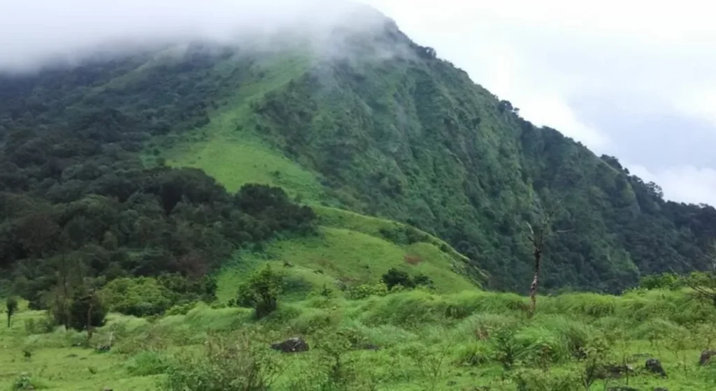 Nishani Mote Trek, Coorg By Namma Trip