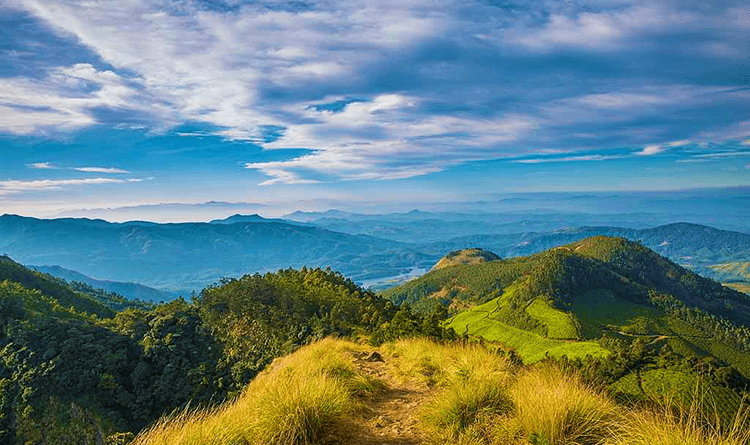 Bangalore to Kolukkumalai Tour Package